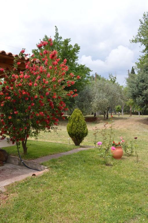 Ermis Loutra Ipatis Exterior foto
